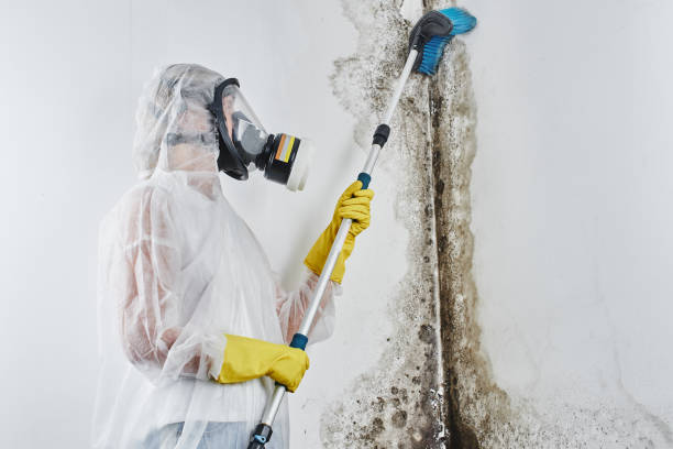 Water damage restoration process in Mayville, WI